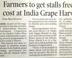 India Grape Harvest 2013